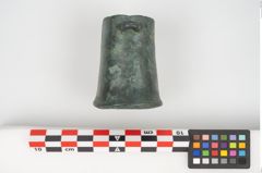 Foto von Bronzedosenortband (NHMW-PRAE-025860)